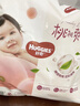 好奇（Huggies）鉑金裝小桃褲成長(cháng)褲L120片(9-14kg)大號尿不濕拉拉褲【透爽散熱】 曬單實(shí)拍圖