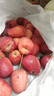 酸甜多汁東北雞心果蘋(píng)果生鮮禮盒丑蘋(píng)果新鮮當季生鮮水果整箱批發(fā) 帶箱5斤凈果4.5斤 曬單實(shí)拍圖