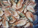豪鮮品生鮮【25年新蝦】丹麥北極甜蝦(MSC認證)熟凍冰蝦 90/120規格 凈重3斤 曬單實(shí)拍圖