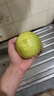 黃金奶油芭樂軟糯番石榴新鮮水果低卡輕食 5斤（凈重） 曬單實拍圖