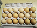 正大食品【無(wú)抗】正大鮮雞蛋18枚1.01kg 曬單實(shí)拍圖