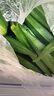 新鮮水果秋葵黃秋葵現摘現發(fā)生鮮蔬菜涼拌燒烤火鍋食材減肥瘦身 現摘新鮮秋葵（大包裝） 5斤 曬單實(shí)拍圖