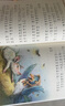 金波四季童話(huà)：花瓣兒魚(yú)、神奇的小銀蛇等 （注音美繪版 套裝共4冊） 課外閱讀 閱讀 課外書(shū)暑假作業(yè) 一升二暑假銜接 小升初暑假銜接 曬單實(shí)拍圖