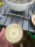 窯變建盞茶杯功夫茶具禮盒套裝陶瓷五行杯家用茶碗茶盞瓷器主人杯 【窯變六色禮盒裝】-6只 曬單實(shí)拍圖
