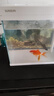 森森（SUNSUN）超白魚(yú)缸一體缸自循環(huán)客廳水族箱桌面家用懶人免換水小型金魚(yú)缸 超白HEJ300標配 帶濾材+棉 曬單實(shí)拍圖