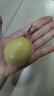 廣西欽蜜9號黃金百香果萬(wàn)澄當季新鮮大果黃皮果奶茶店水果 【1斤 約11-17個(gè)】單果30-45g 曬單實(shí)拍圖