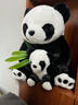 熊貓熊大熊貓毛絨玩具女孩熊貓玩偶娃娃公仔花花抱抱熊兒童畢業(yè)禮物男孩子布娃娃女生生日禮物女送女朋友同學(xué)陪睡覺(jué)抱枕仿真布偶小號創(chuàng  )意擺件30cm 曬單實(shí)拍圖