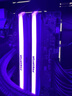 宏碁掠奪者（PREDATOR）48G(24G×2)套裝 DDR5 8200頻率 臺式機內存條 Hera影鋒系列 RGB燈條(C40) 冰戟銀 AI電腦配件 曬單實(shí)拍圖