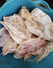 彩雙海燒烤魷魚(yú)干手撕芥末魷魚(yú)干淡干新曬北海大小尤魚(yú)干燒烤專(zhuān)用 XA1魷魚(yú)干250g/1袋（7-8條） 曬單實(shí)拍圖