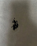 U.S. POLO ASSN.短袖襯衫男夏季純棉商務(wù)休閑寬松免燙男士上衣襯衣灰色XL 曬單實拍圖