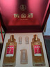 黃金酒【品牌直營(yíng)】39度黃金酒過(guò)年送禮送長(cháng)輩白酒基酒水高端伴手禮酒 52度 480mL 2瓶 禮盒款 曬單實(shí)拍圖