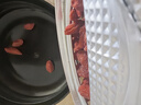 杞里香紅枸杞子頭茬特級枸杞500g新貨寧夏中寧免洗枸杞茶構茍杞茶滋補品 曬單實(shí)拍圖