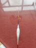 川澤一體成型夜光漂咬鉤變色高靈敏鯽魚(yú)漂醒目浮漂鰱鳙大物電子夜釣漂 升級款PL5-2(主攻鯽鯉)吃鉛2.0g 咬鉤變色款 曬單實(shí)拍圖