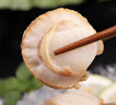 冰鮮蝦夷扇貝肉 200g 曬單實(shí)拍圖