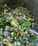 牧參人正宗大連海參鮮活海參野生即食海參禮盒裝新鮮刺參開(kāi)袋即食滋補 【禮盒裝】冷蒸海參1000g 20-30頭 曬單實(shí)拍圖