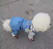 阿莫爾狗狗衣服秋冬款可牽引四腳背帶褲泰迪比熊博美小型犬寵物貓咪服裝 藍色【可牽引】 XS(建議1-3斤具體參考胸圍背長(cháng)) 曬單實(shí)拍圖