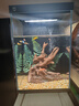畫(huà)法幾何魚(yú)缸造景小型魚(yú)缸米家智能桌面魚(yú)缸專(zhuān)用沉木造景套餐 魚(yú)缸裝飾 蕨類(lèi)沉木造景+底砂套餐 曬單實(shí)拍圖