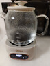 美的全玻璃養生壺 辦公室燒水壺 家用多功能煮茶壺 花茶煮茶器 迷你小型電熱水壺 圍爐煮茶壺 【全玻璃】0金屬0膠水0涂層 1L 曬單實(shí)拍圖