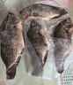 翔泰海南三去羅非魚(yú)/海南鯛1400g/共4條免處理 生鮮魚(yú)類(lèi) 海鮮水產(chǎn)  曬單實(shí)拍圖