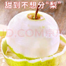 宋玉今蘋(píng)果梨當季新鮮水果禮盒大果皮薄多汁延邊龍井特產(chǎn)水果梨現摘現發(fā) 蘋(píng)果梨大果12果8斤左右*1盒 曬單實(shí)拍圖
