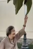腸胃炎寧藥片的特藥效消炎藥腹痛肚子痛直腸炎胃腸功能紊亂拉肚子的藥腸胃炎腸道炎結腸炎專(zhuān)用藥鹽酸小檗堿片 1盒【中藥治腸炎】嚴重建議多盒 曬單實(shí)拍圖