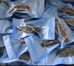 京東京造大連冷凍即食海參1000g 30-50只 固形物不低于70% 遼刺參 曬單實(shí)拍圖