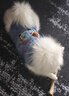 寵城狗狗衣服秋冬款臘腸狗背心比熊泰迪小型幼犬寵物貓咪冬天保暖馬甲 白色臘腸狗 S【建議3-5斤內，具體查看尺碼表】 曬單實(shí)拍圖