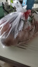 京鮮生 陜西徐香綠心獼猴桃15粒單果90-110g  新鮮水果 源頭直發(fā) 包郵 曬單實(shí)拍圖
