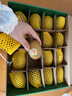 佳沛（zespri）新西蘭  陽(yáng)光金奇異果16粒禮盒經(jīng)典果單果約 77-103g 水果 獼猴桃 曬單實(shí)拍圖