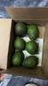 鮮級佳秘魯進(jìn)口牛油果鱷梨非即食寶寶營(yíng)養輔食多地次日達新鮮水果當季 秒殺特惠 100-140g 【6個(gè)裝】 曬單實(shí)拍圖