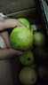 廣西欽蜜9號黃金百香果萬(wàn)澄當季新鮮大果黃皮果奶茶店水果 【1斤 約11-17個(gè)】單果30-45g 曬單實(shí)拍圖