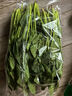 【產(chǎn)地直采】大菠菜300g 曬單實(shí)拍圖