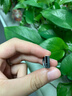 惠普（HP）U盤(pán)車(chē)載2.0超迷你微型金屬便攜式mini短款隱形車(chē)載優(yōu)盤(pán) 標配 16GB 曬單實(shí)拍圖