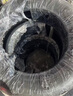 佳通輪胎(Giti)輪胎215/55R16 93V 228v1 適配標致408/帝豪EC7/沃爾沃S60L 曬單實(shí)拍圖