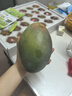 【京東快遞】四川攀枝花凱特芒果當季應季水果 帶箱2斤單果300g+（1-2個(gè)） 曬單實(shí)拍圖