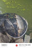 SIMAGO老三樣魚(yú)餌配方套餐搓拉餌野釣鯽魚(yú)餌料黑坑套裝九一八藍鯽通殺 【香腥套裝】 曬單實(shí)拍圖