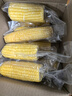 當季新貨東北黃甜糯玉米棒10支真空包裝低脂黃糯大棒甜東北黏苞米 頭茬黃玉米8棒【均重>180克】 曬單實(shí)拍圖