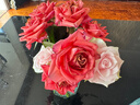 京東鮮花雙11云南昆明基地隨機色玫瑰買(mǎi)20枝送10枝配草配草鮮花源頭直發(fā) 曬單實(shí)拍圖
