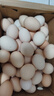 谷物鮮雞蛋 農戶(hù)散養新鮮雞蛋 單枚50g±5 10枚（50克/枚） 曬單實(shí)拍圖