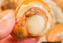 彈指鮮生扇貝肉 部分帶黃 冷凍貝類(lèi)可做蒜蓉粉絲扇貝固形物≥65% 凈重 【店長(cháng)推薦】中大號4斤 曬單實(shí)拍圖