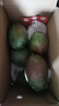 京鮮生 攀枝花凱特芒果 凈重4.5斤 單果300g+ 生鮮水果源頭直發(fā) 曬單實(shí)拍圖