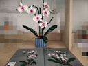 樂(lè )高（LEGO）積木拼裝10311 蘭花永生花男孩女孩女生玩具生日禮物 曬單實(shí)拍圖