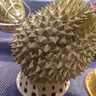 田良季正宗泰國金枕榴蓮【多地次日達】新鮮金枕頭帶果帶殼水果送禮品物 4-5斤丨包4-5房丨精選果 100年老樹(shù)干包果丨出果肉爆表 曬單實(shí)拍圖