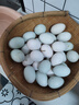 鄱陽(yáng)湖鮮鴨蛋 生鴨蛋土鴨蛋正宗鄱陽(yáng)湖鴨蛋生態(tài)養殖 青白皮混發(fā)新鮮到家 新鮮生鴨蛋 70-79g*30枚 曬單實(shí)拍圖