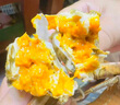 【活蟹】固城湖大閘蟹螃蟹特大全母蟹中秋鮮活水產(chǎn)海鮮現貨禮盒裝 全母3.5兩8只 曬單實(shí)拍圖