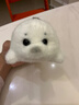 小海豹玩偶可愛(ài)毛絨寶寶公仔掛件手工海洋守護仿真海洋玩具掛件禮 10厘米掛件 小海豹 曬單實(shí)拍圖
