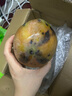 京覓四川凱特芒果新鮮水果凈重8斤單果410g+源頭直發(fā)包郵 曬單實(shí)拍圖