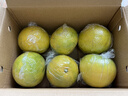 迭果常山胡柚苦柚子浙江衢州正宗產(chǎn)地直發(fā)新鮮水果 9斤裝果王100-110mm 曬單實(shí)拍圖