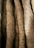 京鮮生 焦作溫縣沙土鐵棍懷山藥 凈重5斤40-50cm 新鮮蔬菜生鮮 源頭直發(fā) 曬單實(shí)拍圖