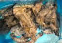 美加佳大號黑虎蝦 去冰凈重2斤 20-30只 燒烤大蝦 生鮮蝦類(lèi) 中秋送禮 曬單實(shí)拍圖